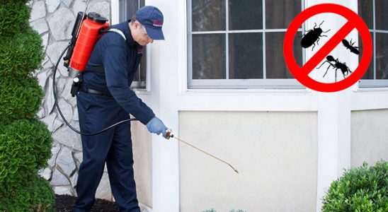 Gürpınar Hamam Böceği İlaçlama böcek ilaçlama ve haşere kontrolü — ilaclama-tr.com